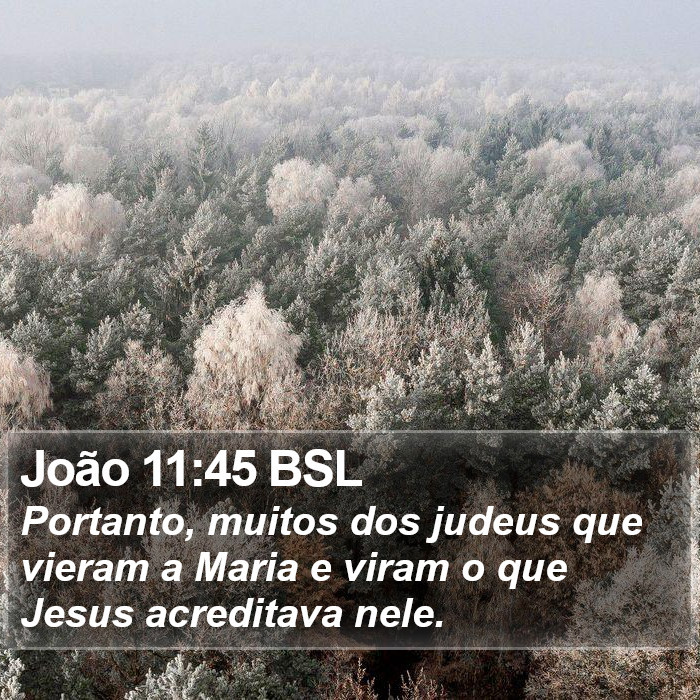 João 11:45 BSL Bible Study