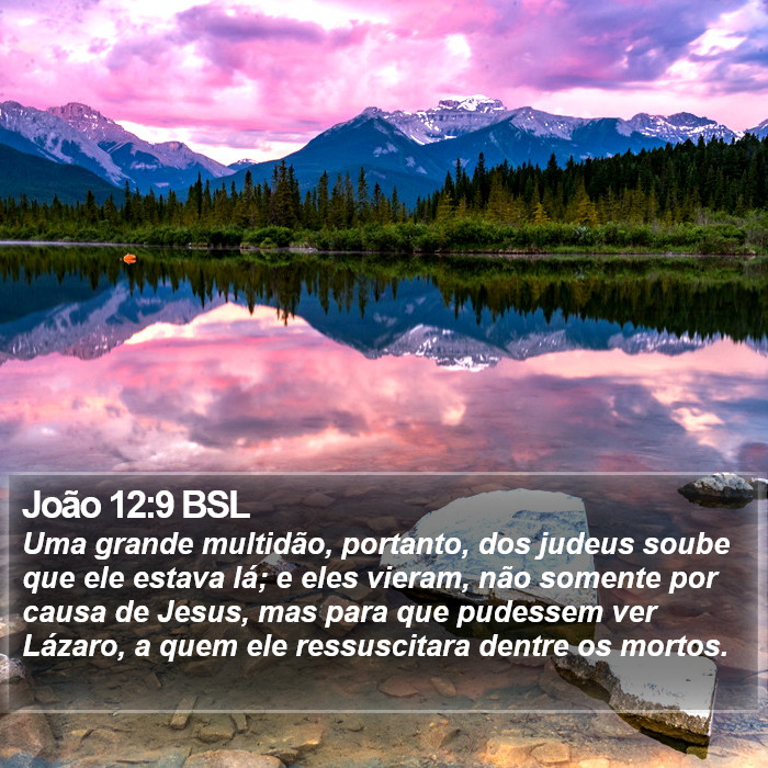 João 12:9 BSL Bible Study