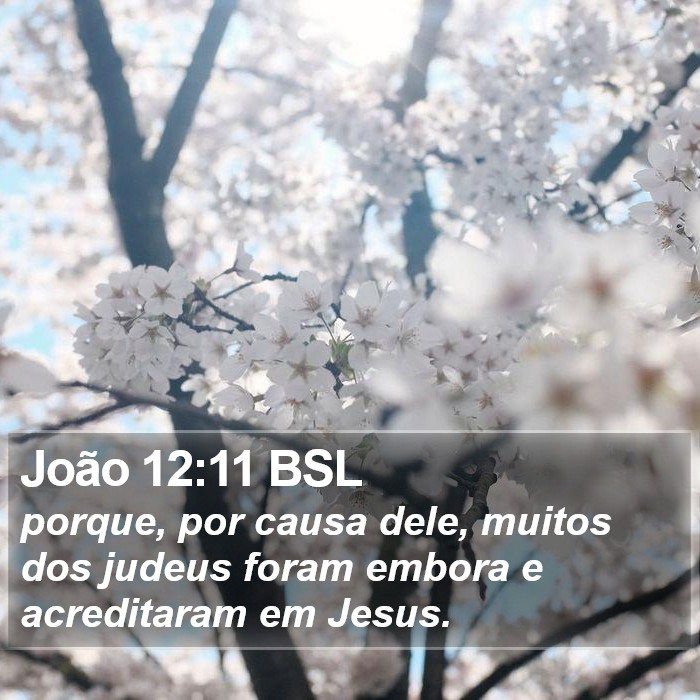 João 12:11 BSL Bible Study