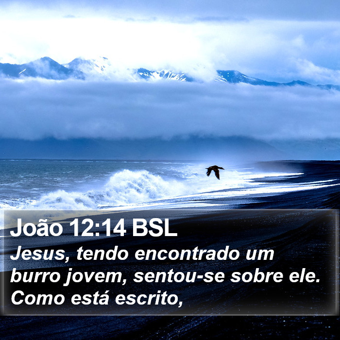 João 12:14 BSL Bible Study