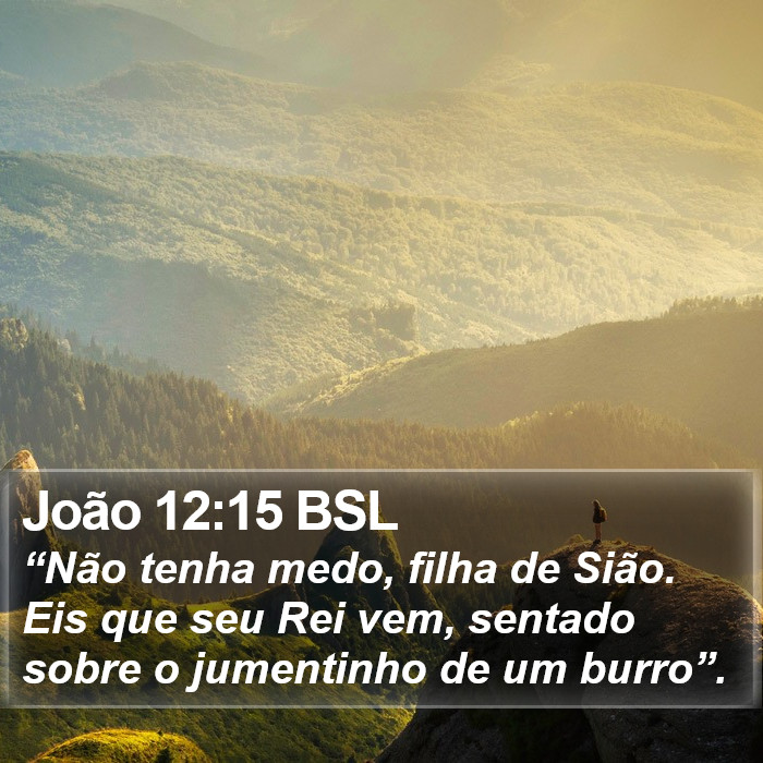 João 12:15 BSL Bible Study