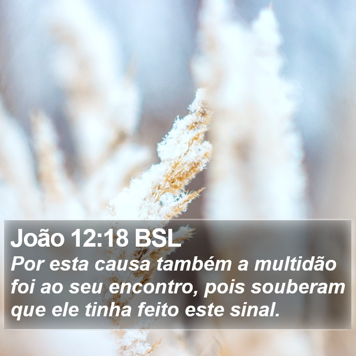 João 12:18 BSL Bible Study