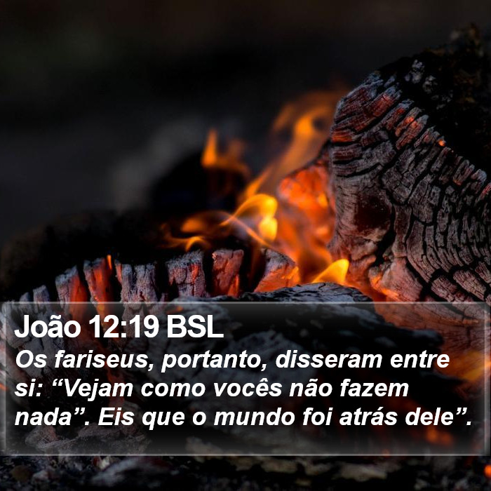 João 12:19 BSL Bible Study