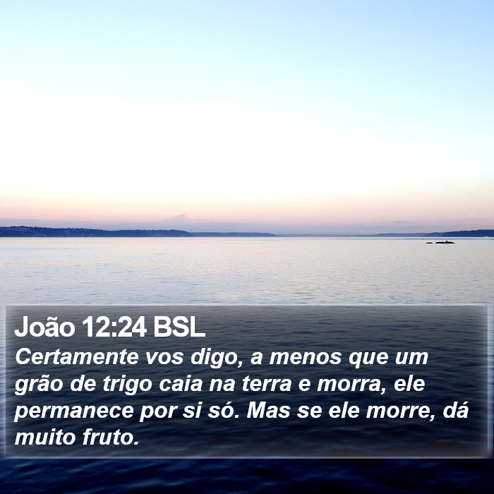 João 12:24 BSL Bible Study