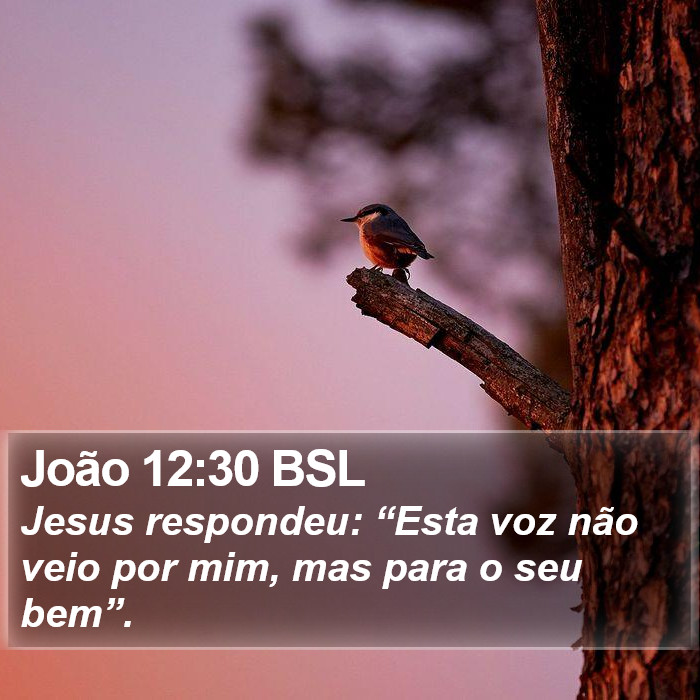 João 12:30 BSL Bible Study