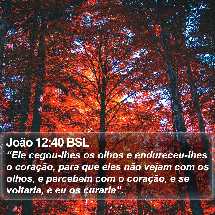 João 12:40 BSL Bible Study