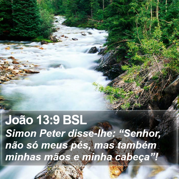 João 13:9 BSL Bible Study