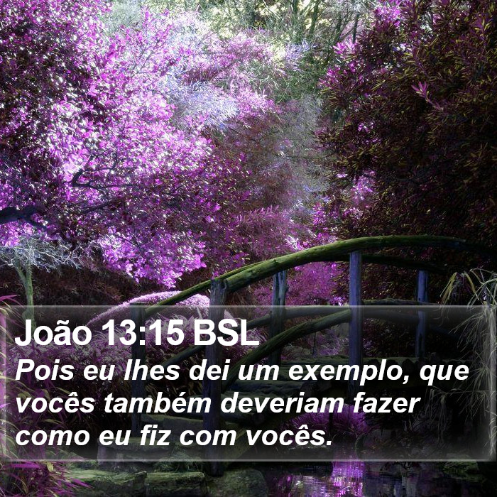 João 13:15 BSL Bible Study