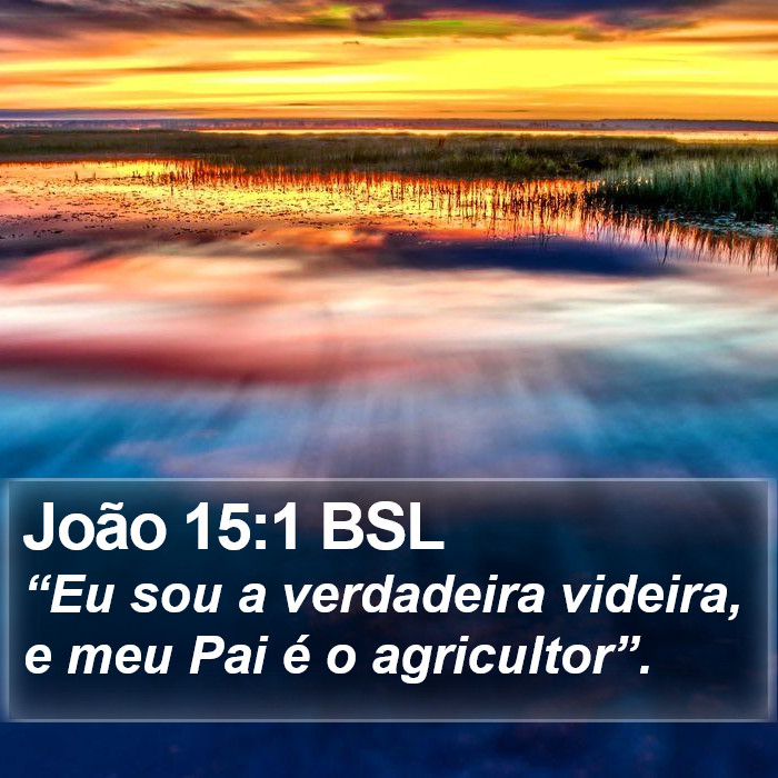 João 15:1 BSL Bible Study