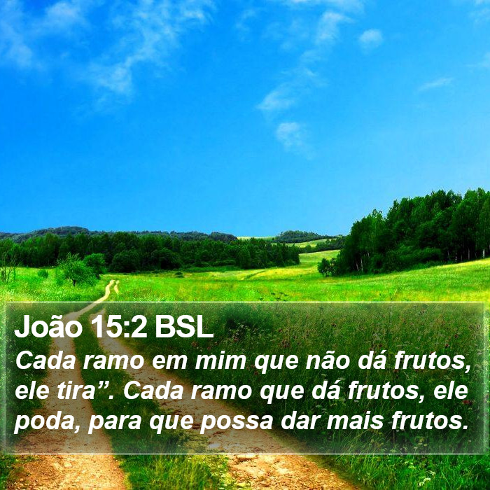 João 15:2 BSL Bible Study