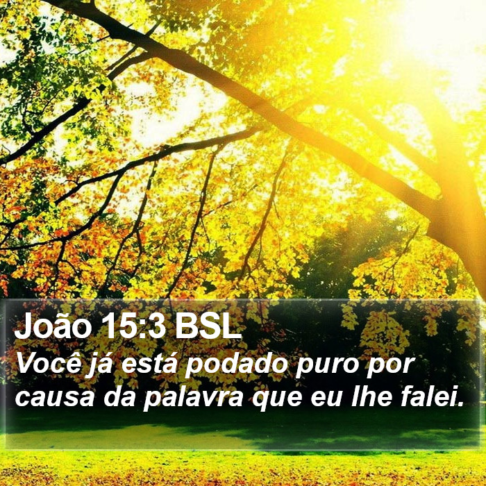 João 15:3 BSL Bible Study
