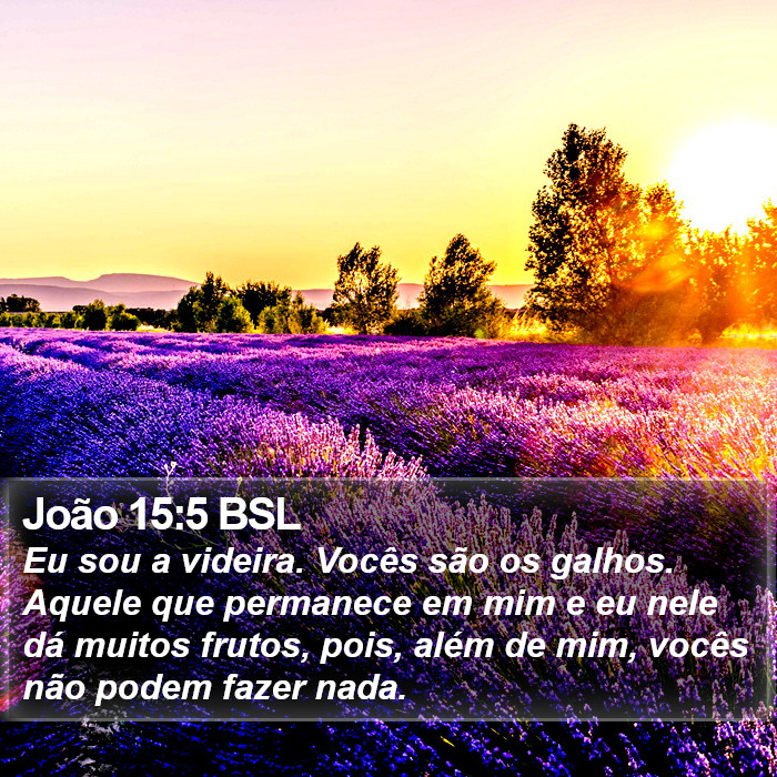 João 15:5 BSL Bible Study