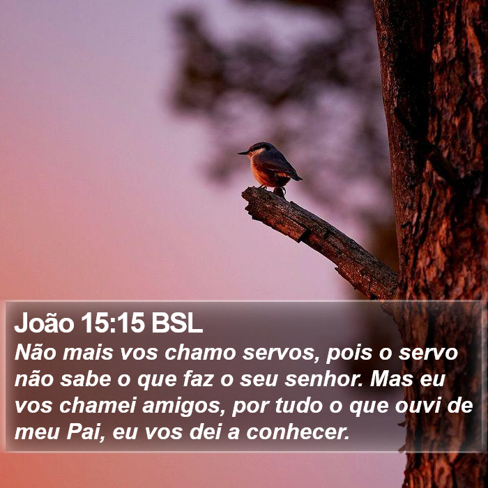 João 15:15 BSL Bible Study
