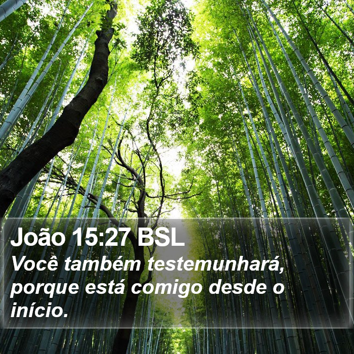 João 15:27 BSL Bible Study