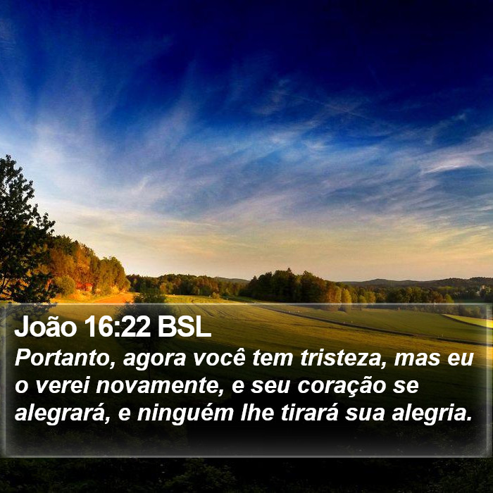 João 16:22 BSL Bible Study