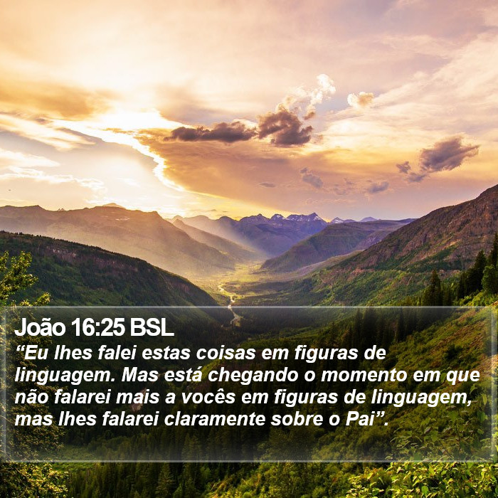 João 16:25 BSL Bible Study