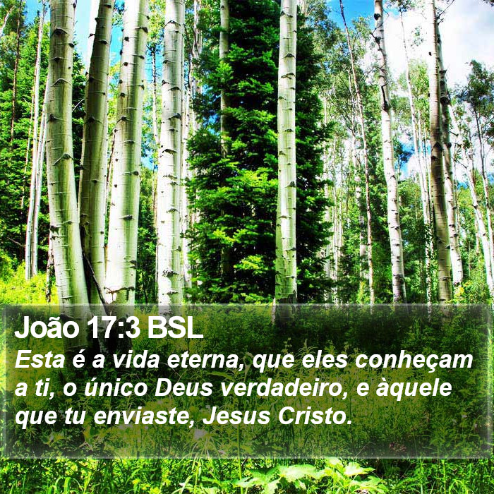 João 17:3 BSL Bible Study