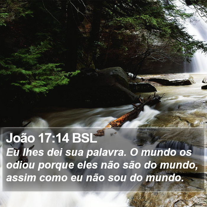 João 17:14 BSL Bible Study