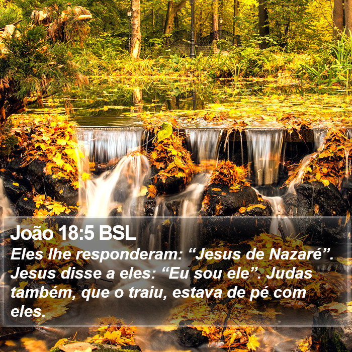 João 18:5 BSL Bible Study