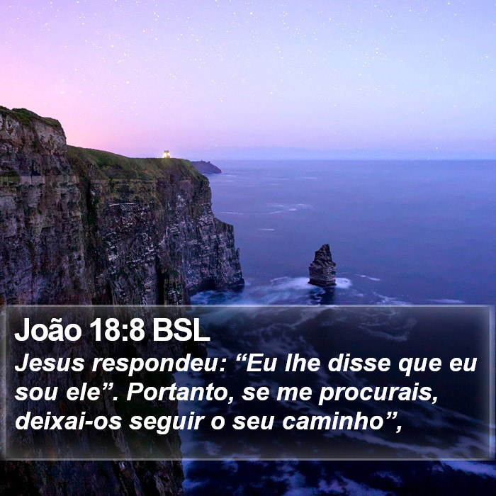 João 18:8 BSL Bible Study