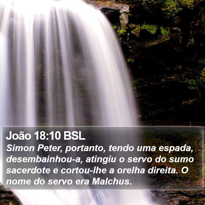 João 18:10 BSL Bible Study