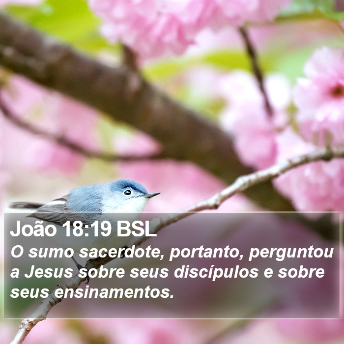 João 18:19 BSL Bible Study