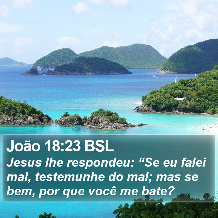 João 18:23 BSL Bible Study