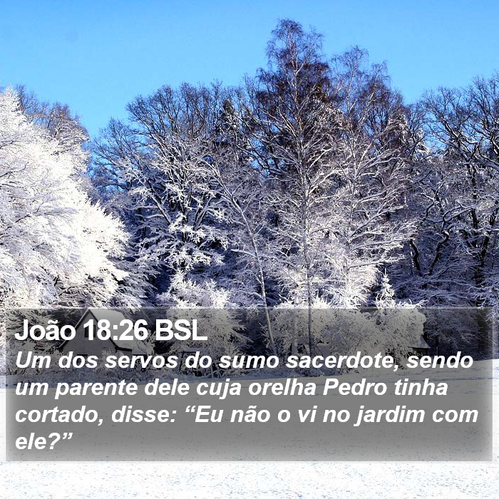 João 18:26 BSL Bible Study