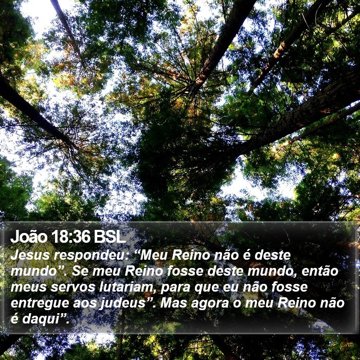 João 18:36 BSL Bible Study