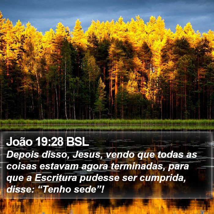 João 19:28 BSL Bible Study
