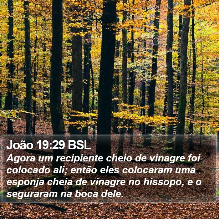 João 19:29 BSL Bible Study