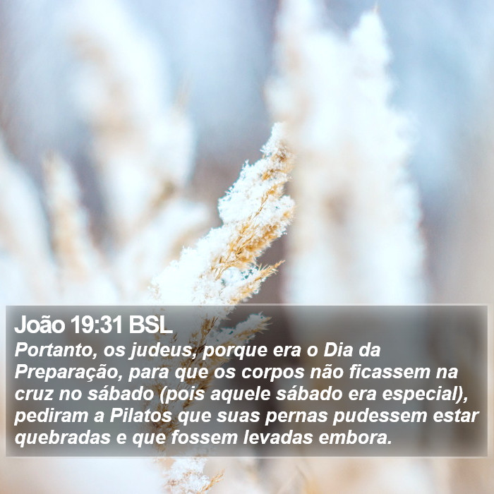João 19:31 BSL Bible Study
