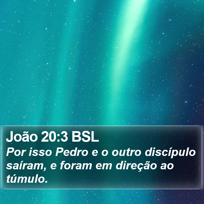 João 20:3 BSL Bible Study
