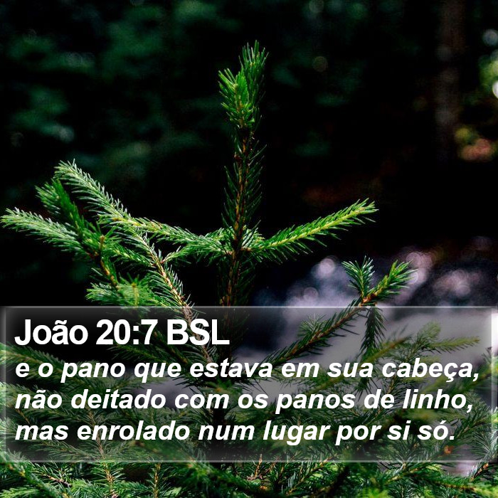João 20:7 BSL Bible Study