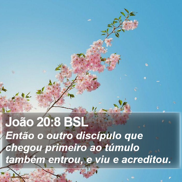João 20:8 BSL Bible Study