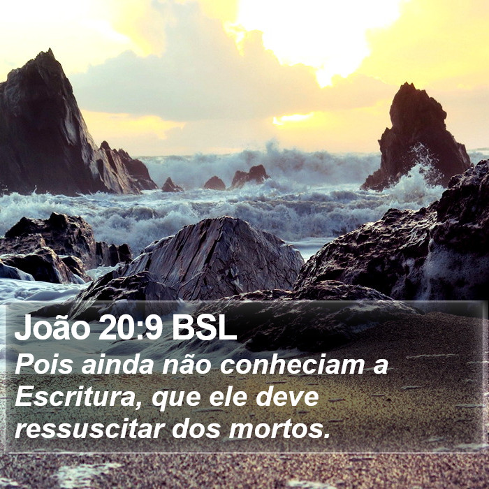João 20:9 BSL Bible Study