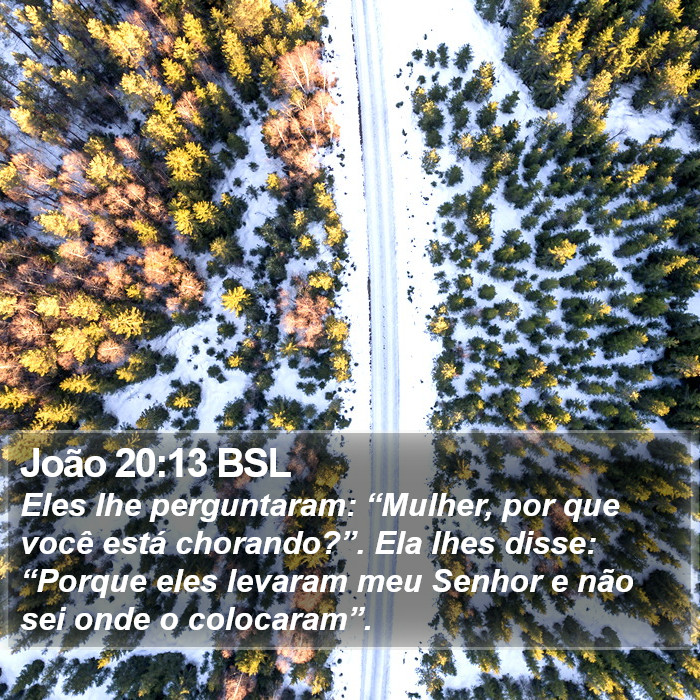 João 20:13 BSL Bible Study