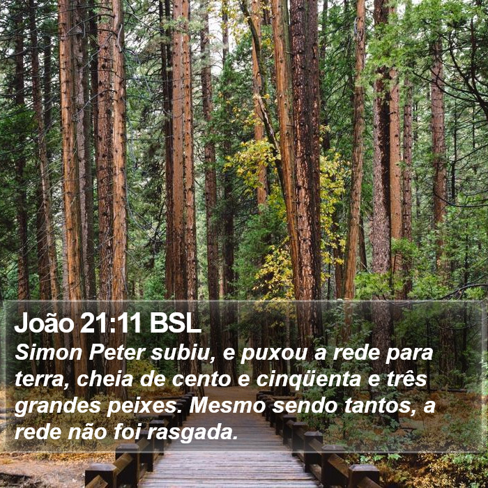 João 21:11 BSL Bible Study