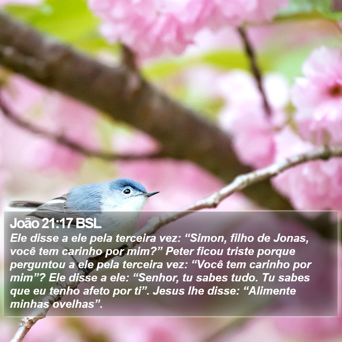João 21:17 BSL Bible Study
