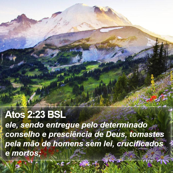 Atos 2:23 BSL Bible Study