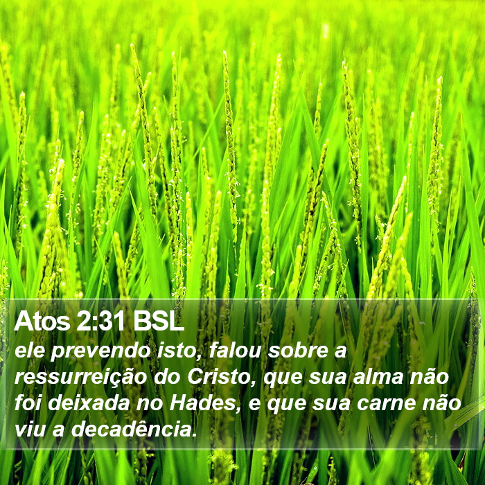 Atos 2:31 BSL Bible Study