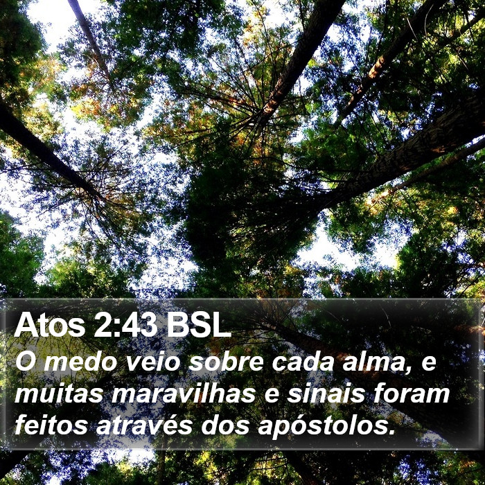 Atos 2:43 BSL Bible Study