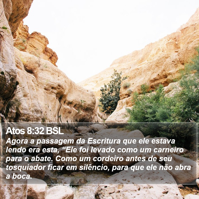 Atos 8:32 BSL Bible Study