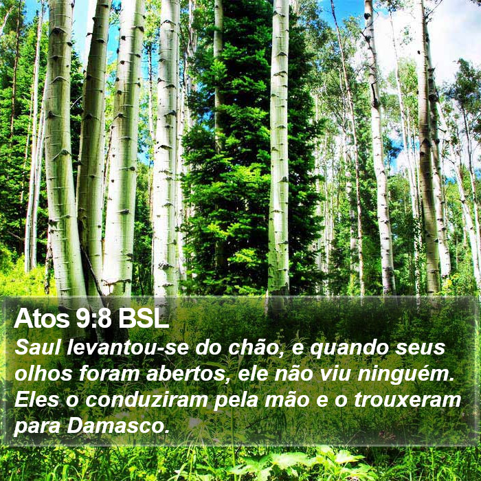 Atos 9:8 BSL Bible Study