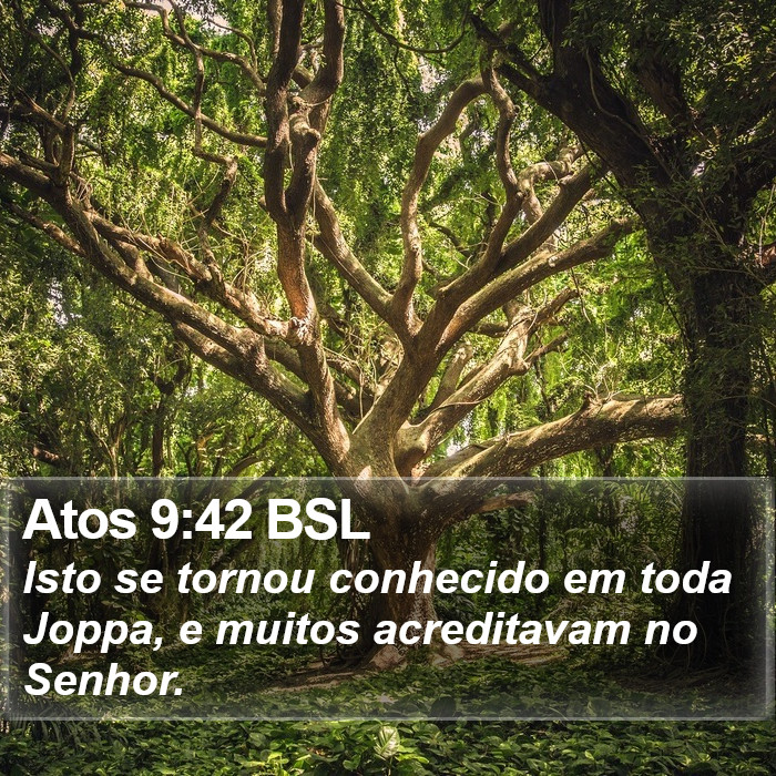 Atos 9:42 BSL Bible Study