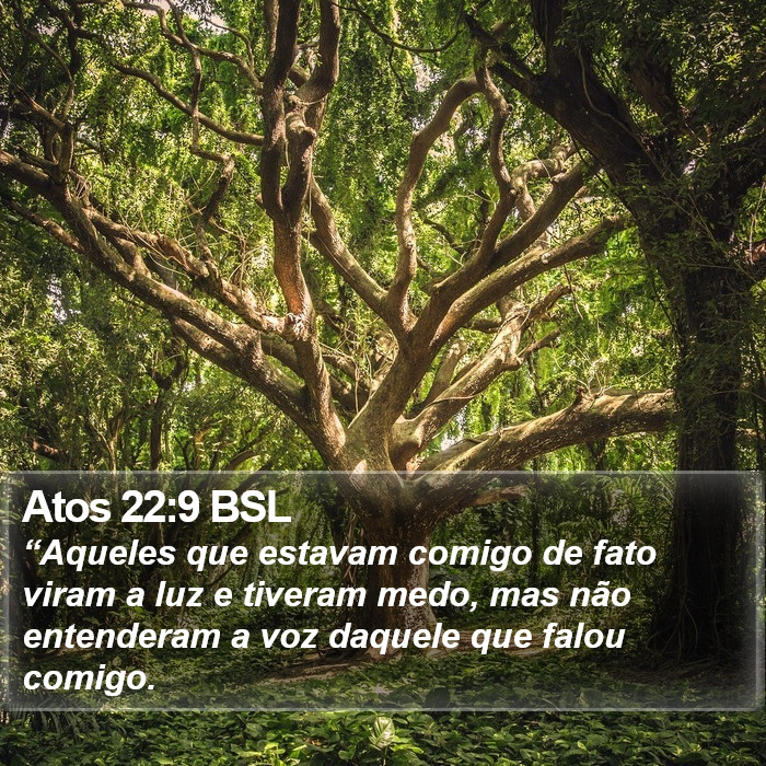 Atos 22:9 BSL Bible Study