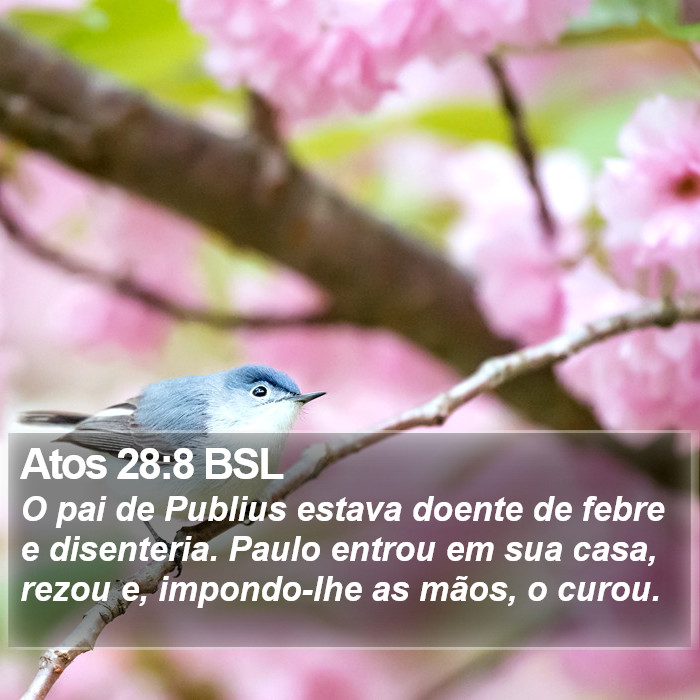 Atos 28:8 BSL Bible Study