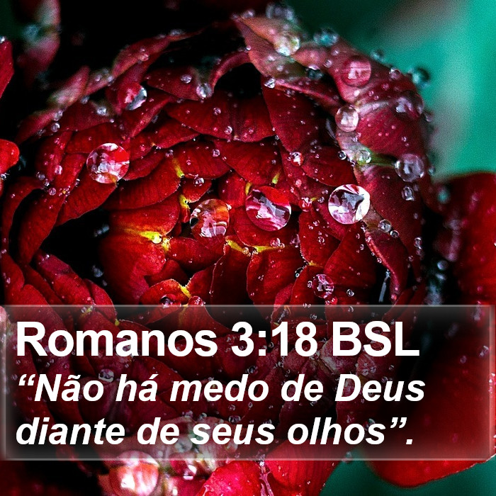 Romanos 3:18 BSL Bible Study