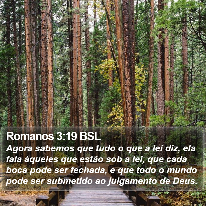 Romanos 3:19 BSL Bible Study