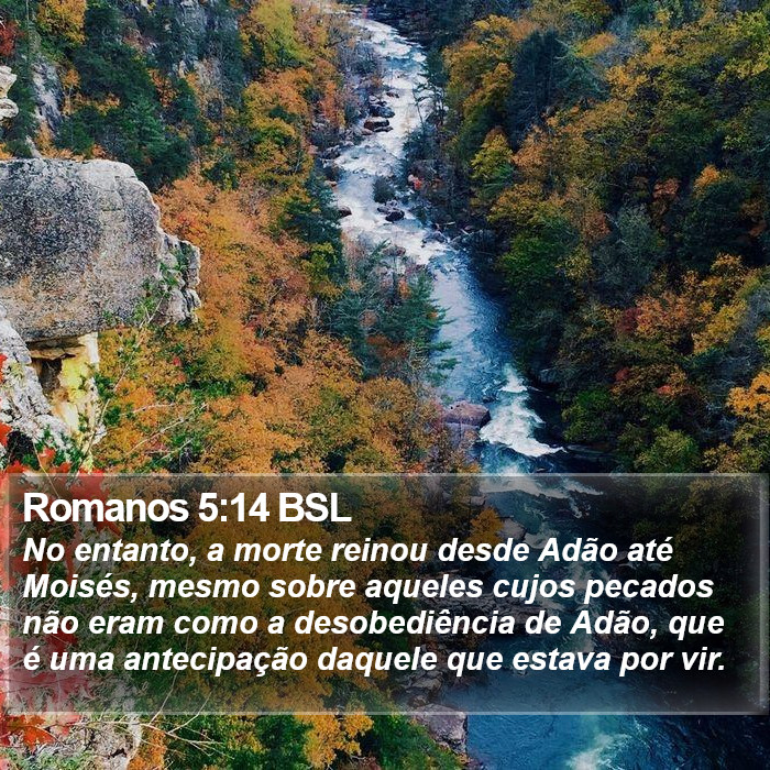 Romanos 5:14 BSL Bible Study